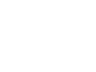 主页